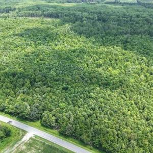 Photo #5 of River North, Camden, NC 37.3 acres