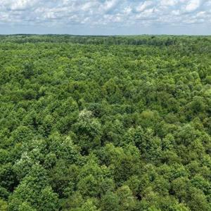 Photo #31 of River North, Camden, NC 37.3 acres