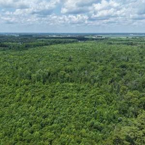 Photo #33 of River North, Camden, NC 37.3 acres