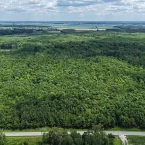 Photo #45 of River North, Camden, NC 37.3 acres