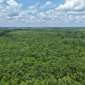 Photo #44 of River North, Camden, NC 37.3 acres