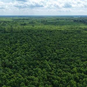 Photo #42 of River North, Camden, NC 37.3 acres