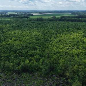 Photo #39 of River North, Camden, NC 37.3 acres