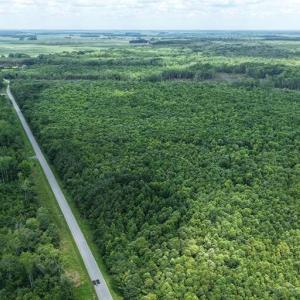 Photo #10 of River North, Camden, NC 37.3 acres