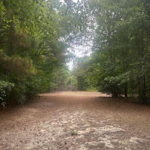 Photo #13 of Tbd Oliver Carlton, Warsaw, NC 16.4 acres