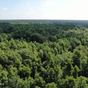 Photo #15 of Tbd Oliver Carlton, Warsaw, NC 16.4 acres