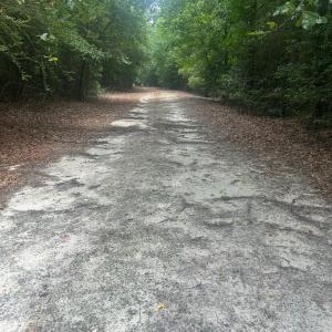 Photo #7 of Tbd Oliver Carlton, Warsaw, NC 16.4 acres