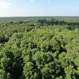Photo #8 of Tbd Oliver Carlton, Warsaw, NC 16.4 acres