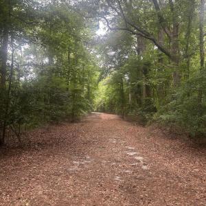 Photo #6 of Tbd Oliver Carlton, Warsaw, NC 16.4 acres