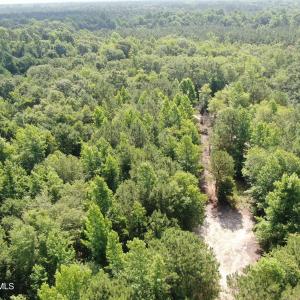 Photo #9 of Tbd Oliver Carlton, Warsaw, NC 16.4 acres