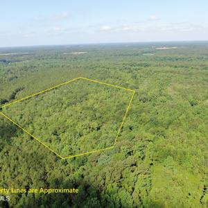 Photo #1 of Tbd Oliver Carlton, Warsaw, NC 16.4 acres
