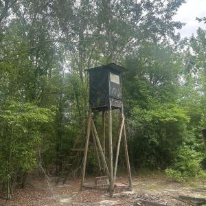 Photo #5 of Tbd Oliver Carlton, Warsaw, NC 16.4 acres