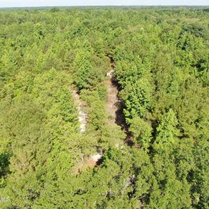 Photo #12 of Tbd Oliver Carlton, Warsaw, NC 16.4 acres