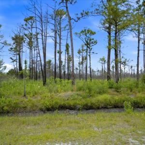 Photo #15 of 10 Acres Address Tbd, Boiling Spring Lakes, NC 10.0 acres