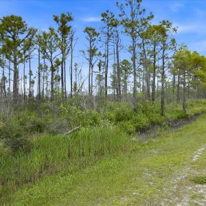Photo #14 of 10 Acres Address Tbd, Boiling Spring Lakes, NC 10.0 acres