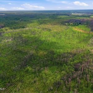 Photo #6 of 10 Acres Address Tbd, Boiling Spring Lakes, NC 10.0 acres