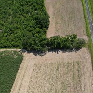 Photo #3 of Booker Lennon Road, Evergreen, NC 2.0 acres