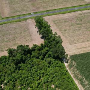 Photo #6 of Booker Lennon Road, Evergreen, NC 2.0 acres