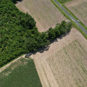 Photo #4 of Booker Lennon Road, Evergreen, NC 2.0 acres