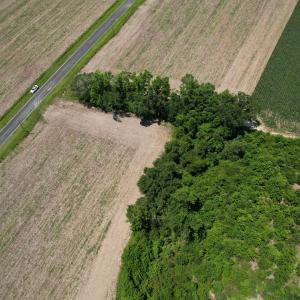 Photo #9 of Booker Lennon Road, Evergreen, NC 2.0 acres