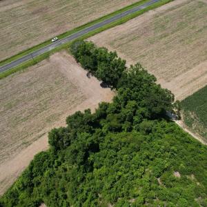Photo #8 of Booker Lennon Road, Evergreen, NC 2.0 acres