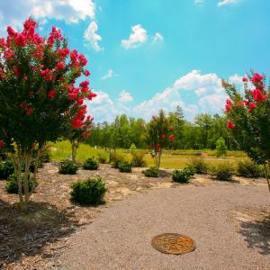 Photo #4 of Lot S21 Scarborough, Aiken, SC 0.6 acres