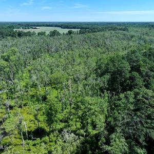 Photo #5 of 35 Acres Yarborough, Parkton, NC 35.0 acres