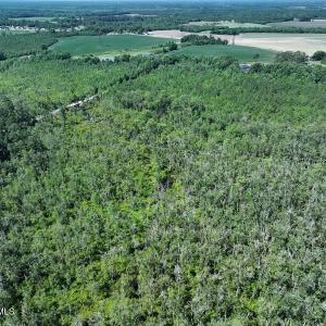 Photo #8 of 35 Acres Yarborough, Parkton, NC 35.0 acres