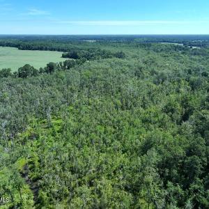 Photo #6 of 35 Acres Yarborough, Parkton, NC 35.0 acres