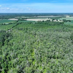 Photo #7 of 35 Acres Yarborough, Parkton, NC 35.0 acres