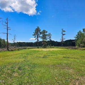 Photo #17 of Lot 20 Bailey Pointe, Belhaven, NC 1.9 acres