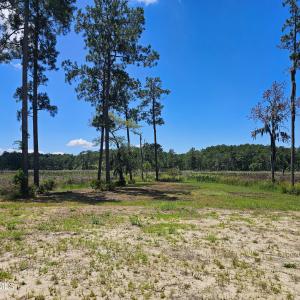 Photo #18 of Lot 20 Bailey Pointe, Belhaven, NC 1.9 acres