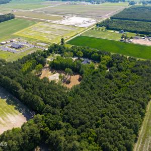 Photo #9 of 100 Cruella, Shawboro, NC 10.6 acres