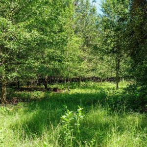 Photo #37 of 1-B River Oak, North Augusta, SC 2.9 acres