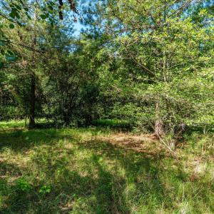 Photo #41 of 1-B River Oak, North Augusta, SC 2.9 acres