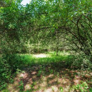 Photo #32 of 1-B River Oak, North Augusta, SC 2.9 acres