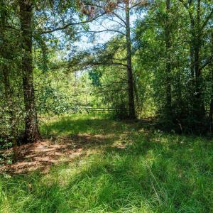 Photo #35 of 1-B River Oak, North Augusta, SC 2.9 acres