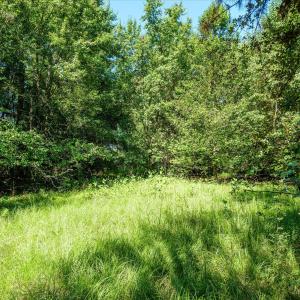 Photo #33 of 1-B River Oak, North Augusta, SC 2.9 acres