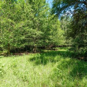 Photo #34 of 1-B River Oak, North Augusta, SC 2.9 acres
