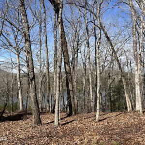 Photo #12 of Tbd Haltiwanger Retreat, Troy, NC 15.5 acres