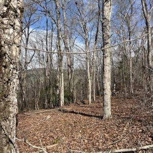 Photo #14 of Tbd Haltiwanger Retreat, Troy, NC 15.5 acres