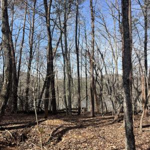 Photo #16 of Tbd Haltiwanger Retreat, Troy, NC 15.5 acres