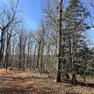 Photo #13 of Tbd Haltiwanger Retreat, Troy, NC 15.5 acres