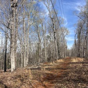 Photo #11 of Tbd Haltiwanger Retreat, Troy, NC 15.5 acres