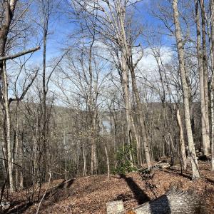 Photo #15 of Tbd Haltiwanger Retreat, Troy, NC 15.5 acres