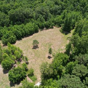Photo #15 of Old Chinquapin, Beulaville, NC 3.7 acres