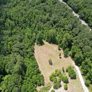 Photo #12 of Old Chinquapin, Beulaville, NC 3.7 acres