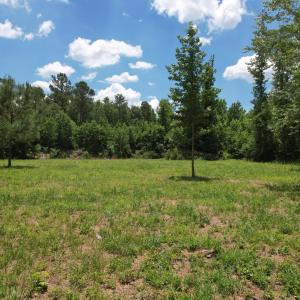 Photo #23 of Old Chinquapin, Beulaville, NC 3.7 acres