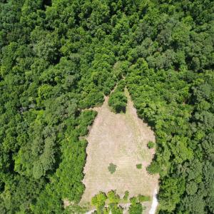 Photo #39 of Old Chinquapin, Beulaville, NC 3.7 acres