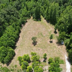 Photo #20 of Old Chinquapin, Beulaville, NC 3.7 acres